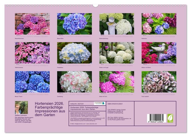 Produktbild: Hortensien 2026. Farbenpr&auml;chtige Impressionen aus dem Garten (hochwertiger Premium Wandkalender 2026 DIN A2 quer), Kunstdruck in Hochglanz