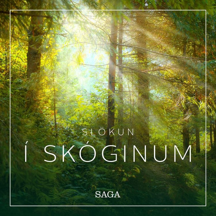 Produktbild: Sl&ouml;kun - &Iacute; sk&oacute;ginum