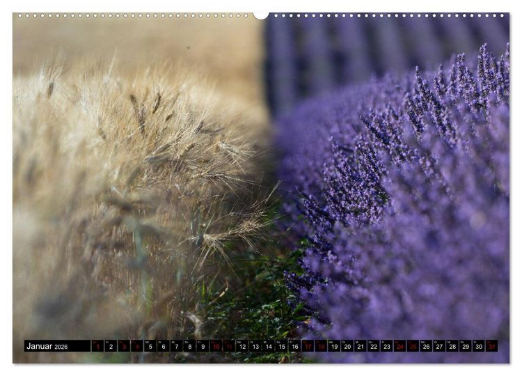 Produktbild: Provence im Rausch der Farben (Wandkalender 2026 DIN A2 quer), CALVENDO Monatskalender