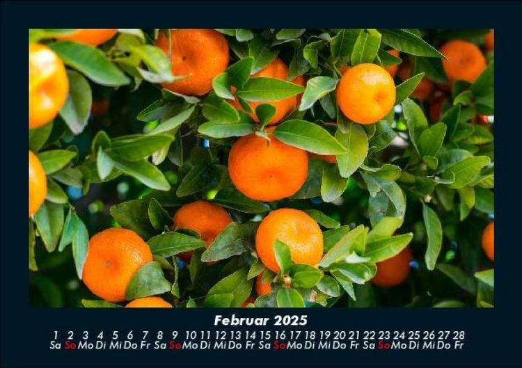 Produktbild: Obstkalender 2025 Fotokalender DIN A5