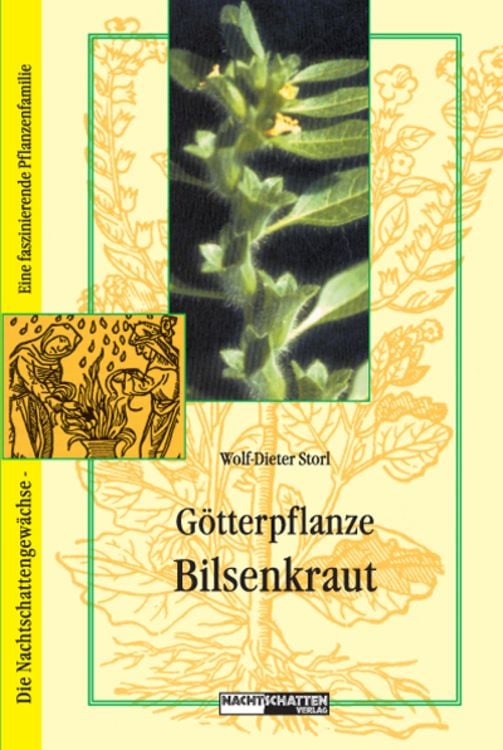 Produktbild: G&ouml;tterpflanze Bilsenkraut