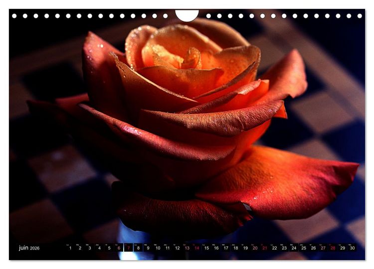 Produktbild: Bouquet d'un jour, bouquet pour toujours (Calendrier mural 2026 DIN A4 vertical), CALVENDO calendrier mensuel