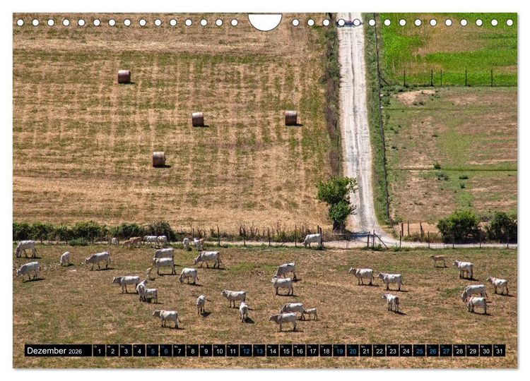 Produktbild: Die Etrusker &ndash; Hochkultur im antiken Italien (Wandkalender 2026 DIN A4 quer), CALVENDO Monatskalender