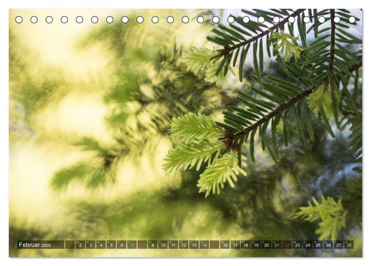 Produktbild: Feng Shui Farben - Element: Holz (Tischkalender 2026 DIN A5 quer), CALVENDO Monatskalender