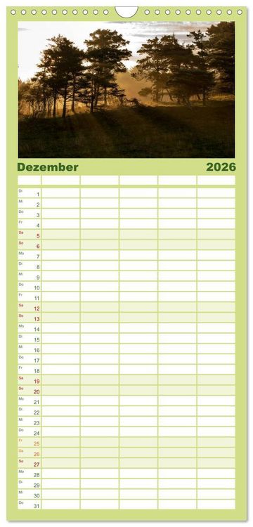 Produktbild: Familienplaner 2026 - Traumziel D&auml;nemark mit 5 Spalten (Wandkalender, 21 x 45 cm) CALVENDO