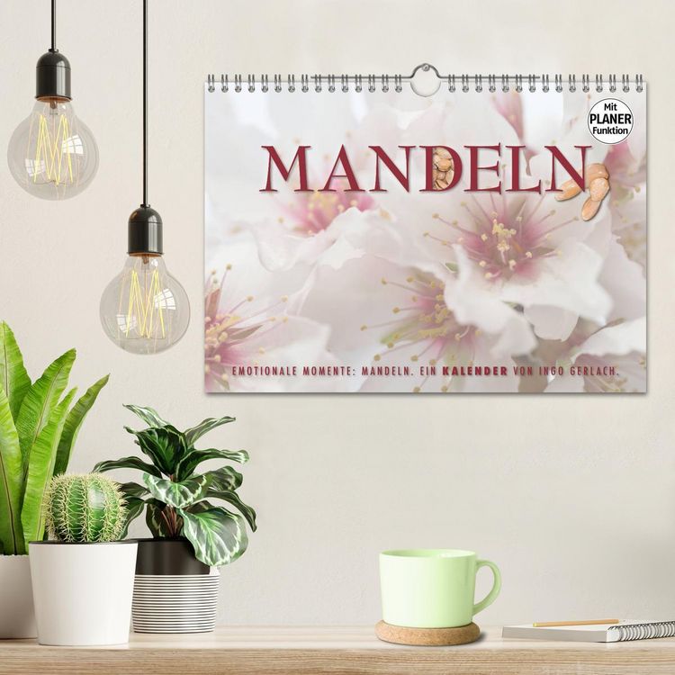 Produktbild: Emotionale Momente: Mandeln (Wandkalender 2026 DIN A4 quer), CALVENDO Monatskalender