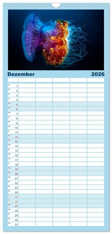 Produktbild: Familienplaner 2026 - Faszinierende Meereswelt der Malediven mit 5 Spalten (Wandkalender, 21 x 45 cm) CALVENDO