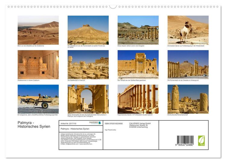 Produktbild: Palmyra - Historisches Syrien (hochwertiger Premium Wandkalender 2026 DIN A2 quer), Kunstdruck in Hochglanz