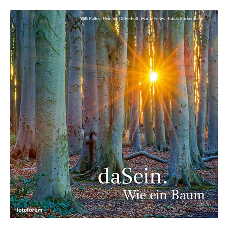 Produktbild: DaSein. Wie ein Baum