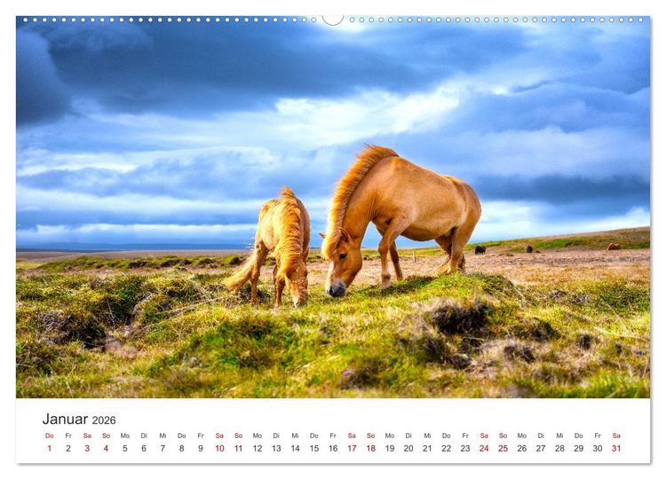 Produktbild: Freiheitsliebende Wildpferde (Wandkalender 2026 DIN A2 quer), CALVENDO Monatskalender