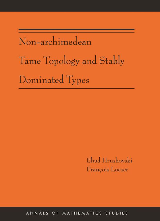 Produktbild: Non-Archimedean Tame Topology and Stably Dominated Types