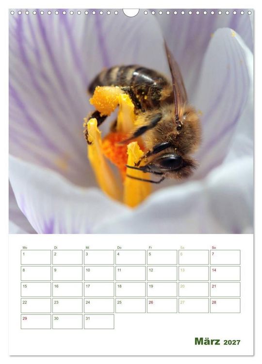 Produktbild: Bienen-Terminplaner 2027 (Wandkalender 2027 DIN A3 hoch), CALVENDO Monatskalender