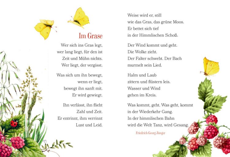 Produktbild: Der Weg zum Gl&uuml;ck f&uuml;hrt durch den Garten