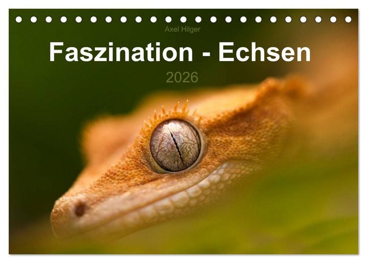 Produktbild: Faszination - Echsen (Tischkalender 2026 DIN A5 quer), CALVENDO Monatskalender
