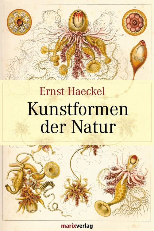 Produktbild: Kunstformen der Natur