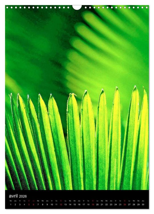 Produktbild: Couleurs Martinique (Calendrier mural 2026 DIN A3 horizontal), CALVENDO calendrier mensuel