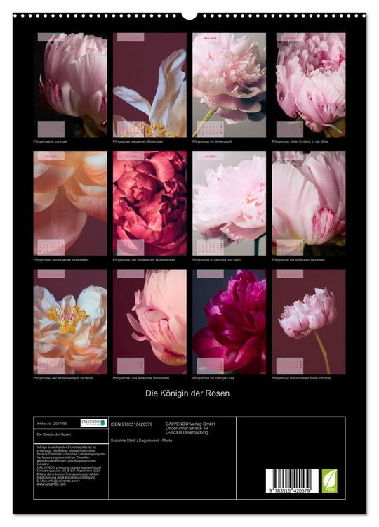 Produktbild: Die K&ouml;nigin der Rosen (hochwertiger Premium Wandkalender 2026 DIN A2 hoch), Kunstdruck in Hochglanz
