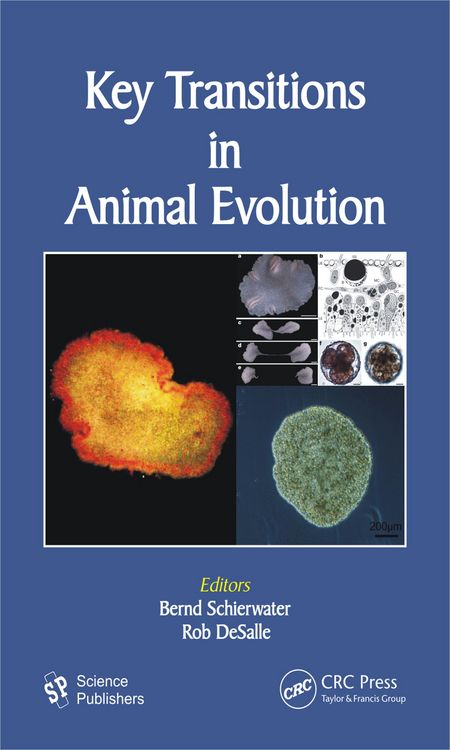 Produktbild: Key Transitions in Animal Evolution