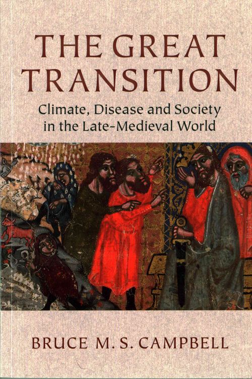 Produktbild: The Great Transition