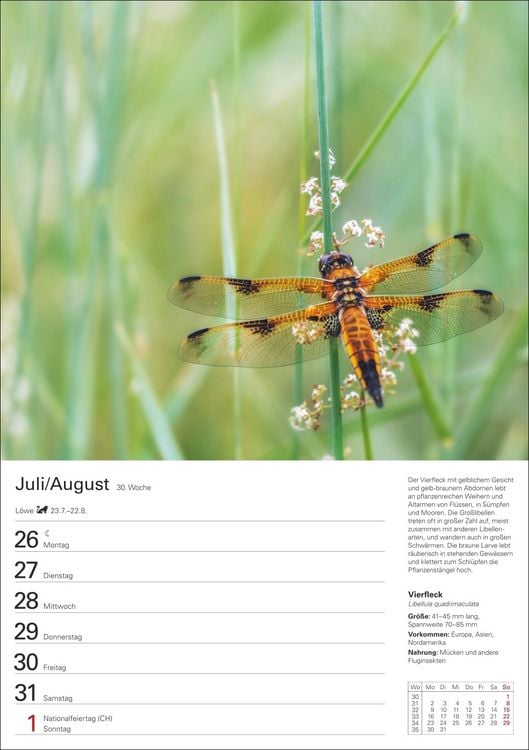 Produktbild: Heimische Tiere Wochenplaner 2027 - 53 faszinierende Fotografien