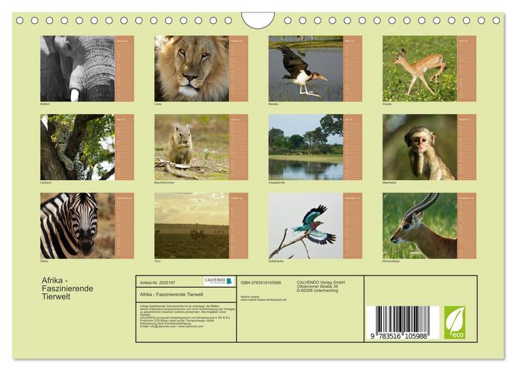 Produktbild: Afrika - Faszinierende Tierwelt (Wandkalender 2026 DIN A4 quer), CALVENDO Monatskalender