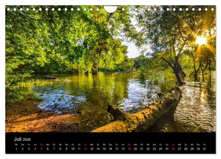 Produktbild: Mannheimer Waldpark (Wandkalender 2026 DIN A4 quer), CALVENDO Monatskalender