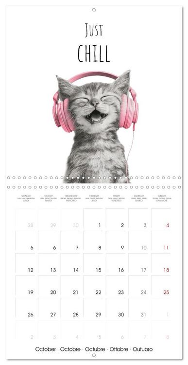 Produktbild: Purrfectly Cool Cats (Wall Calendar 2026 12 &times; 12 Inch) CALVENDO 12 Month Wall Calendar
