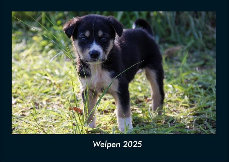Produktbild: Welpen 2025 Fotokalender DIN A4