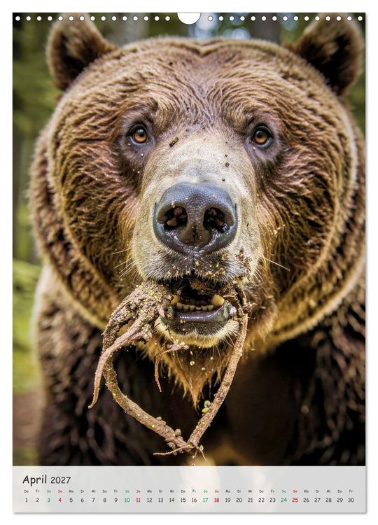 Produktbild: Grizzlyb&auml;ren und Lachse (Wandkalender 2027 DIN A3 hoch), CALVENDO Monatskalender