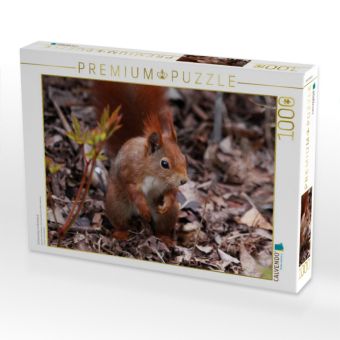 Produktbild: Eichh&ouml;rnchen im Herbstlaub (Puzzle)