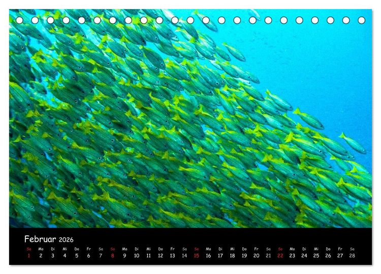 Produktbild: Die Welt unter Wasser (Tischkalender 2026 DIN A5 quer), CALVENDO Monatskalender