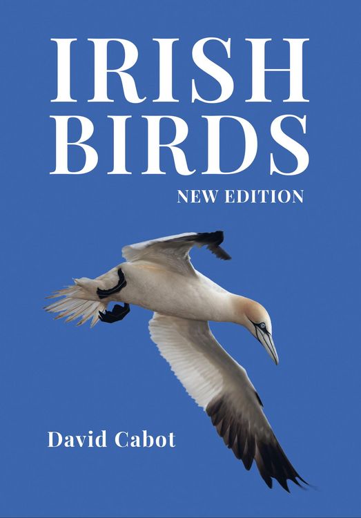 Produktbild: Irish Birds