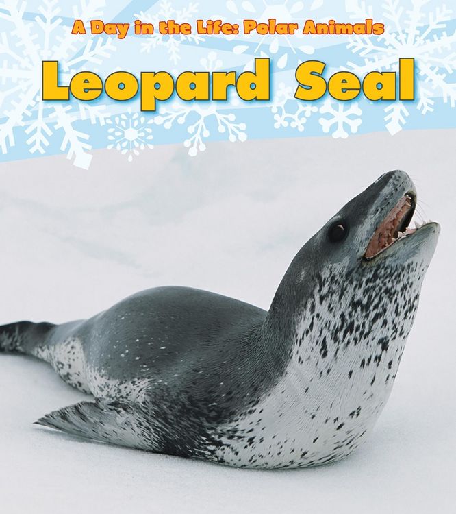 Produktbild: Leopard Seal