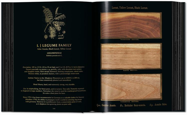 Produktbild: Romeyn B. Hough