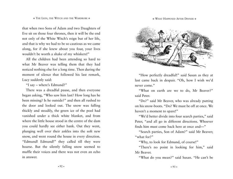 Produktbild: The Lion, the Witch and the Wardrobe Deluxe Edition