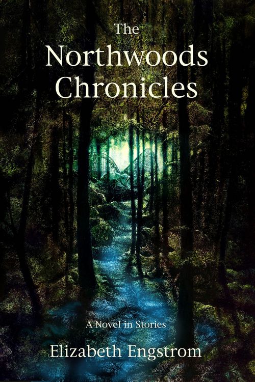 Produktbild: The Northwoods Chronicles: A Novel in Short Stories