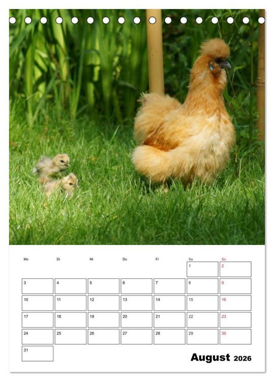 Produktbild: H&uuml;hner Terminplaner (Tischkalender 2026 DIN A5 hoch), CALVENDO Monatskalender