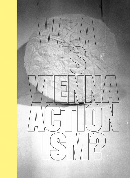 Produktbild: What is Vienna Actionism?