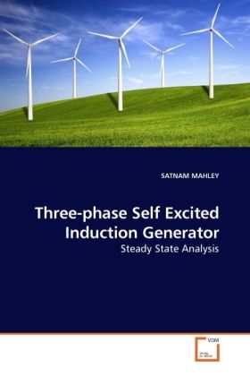 Produktbild: MAHLEY, S: Three-phase Self Excited Induction Generator