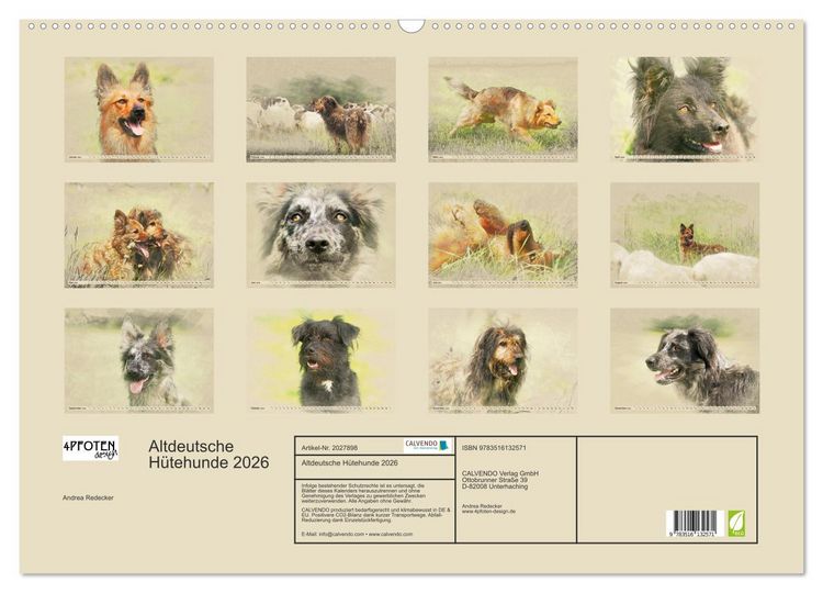 Produktbild: Altdeutsche H&uuml;tehunde 2026 (Wandkalender 2026 DIN A2 quer), CALVENDO Monatskalender