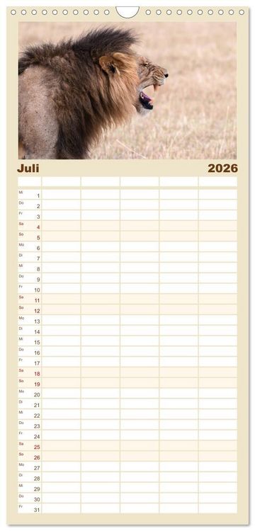 Produktbild: Familienplaner 2026 - L&ouml;wen - Raubkatzen Afrikas mit 5 Spalten (Wandkalender, 21 x 45 cm) CALVENDO