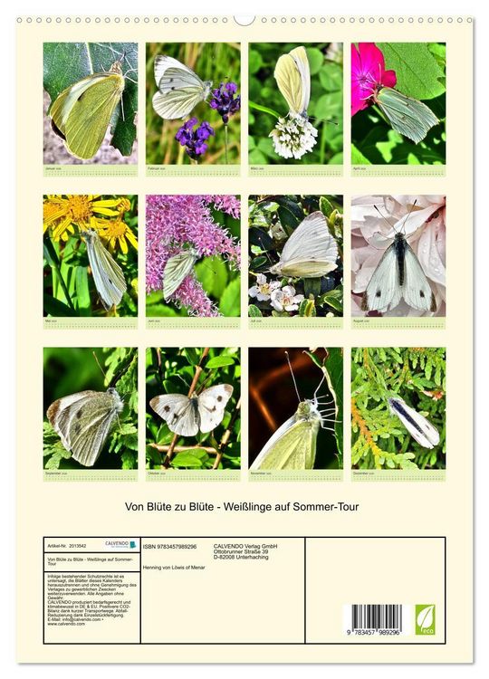 Produktbild: Von Bl&uuml;te zu Bl&uuml;te - Wei&szlig;linge auf Sommer-Tour (hochwertiger Premium Wandkalender 2026 DIN A2 hoch), Kunstdruck in Hochglanz