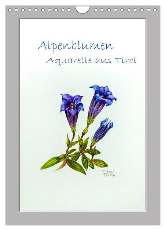 Produktbild: Alpenblumen Aquarelle aus Tirol (Wandkalender 2026 DIN A4 hoch), CALVENDO Monatskalender