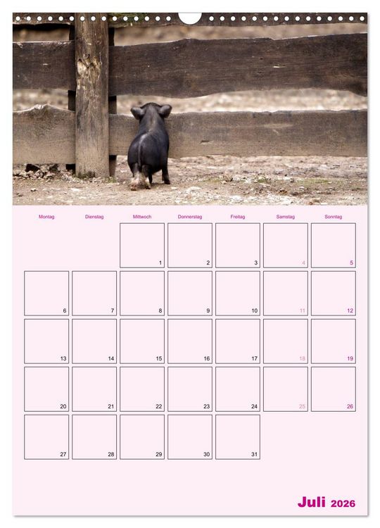 Produktbild: Schweinischer Terminplaner (Wandkalender 2026 DIN A3 hoch), CALVENDO Monatskalender