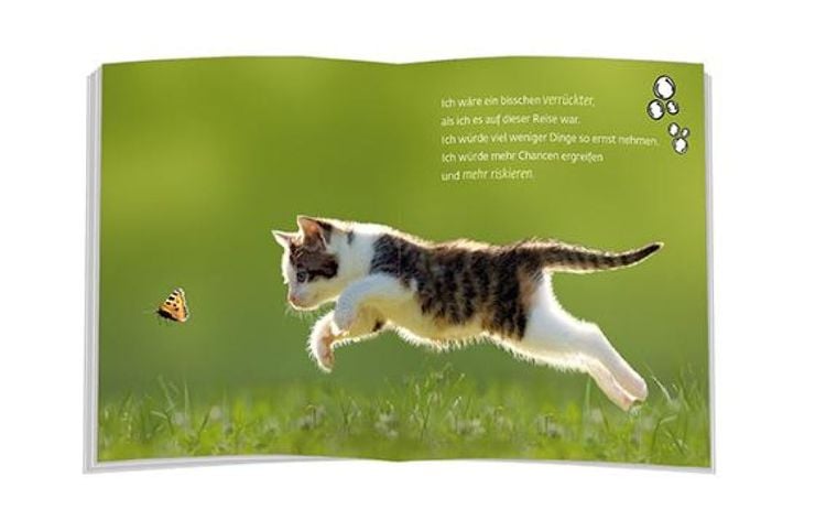 Produktbild: Wenn ich mein Leben noch einmal leben könnte…