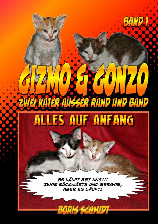 Produktbild: GIZMO & GONZO - Zwei Kater au&szlig;er Rand und Band
