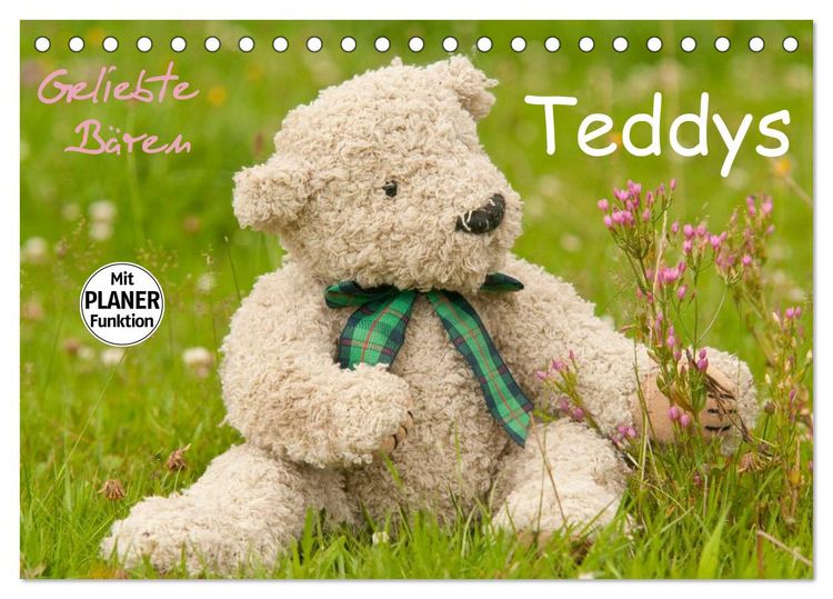 Produktbild: Geliebte B&auml;ren - Teddys (Tischkalender 2026 DIN A5 quer), CALVENDO Monatskalender