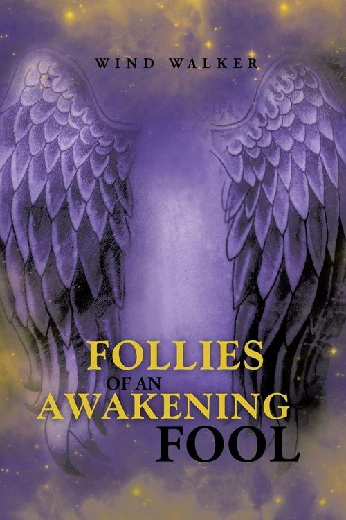 Produktbild: Follies of an Awakening Fool