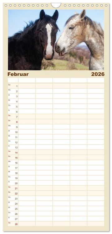 Produktbild: Familienplaner 2026 - Pferde - kraftvolle Eleganz mit 5 Spalten (Wandkalender, 21 x 45 cm) CALVENDO