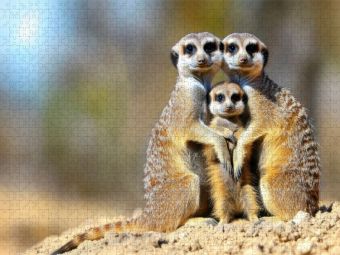 Produktbild: CALVENDO Puzzle Ein wundersch&ouml;nes Familienfoto | 1000 Teile Lege-Gr&ouml;&szlig;e 64x48cm Foto-Puzzle f&uuml;r gl&uuml;ckliche Stunden
